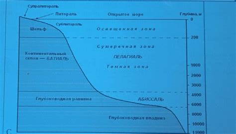 3. Соотнесите планету с домом