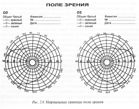 4. Оцените поле зрения