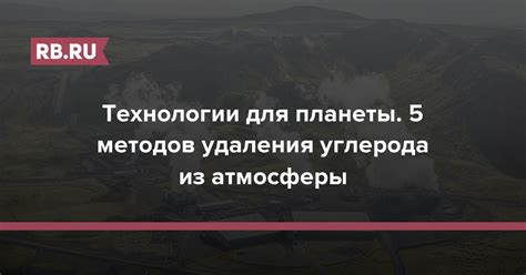 5 методов эффективного удаления сибарейки