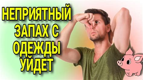 5 способов устранить неприятный запах духов с полиэстеровой куртки