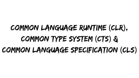 CLR CTS: основные преимущества и назначение на RuCode