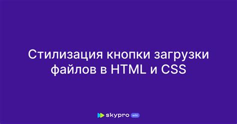 CSS-стилизация кнопки: возможности и инструменты