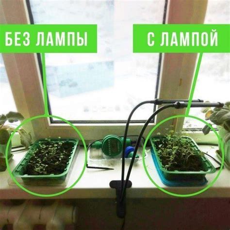 DIY лампа для рассады на подоконнике