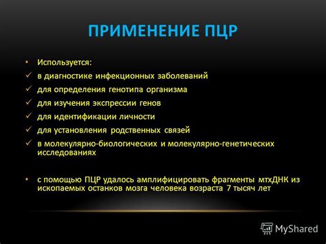 DNA-тестирование: научный метод для определения ЧФД и родственных связей