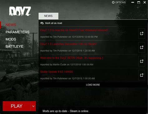 DayZ Launcher: что это