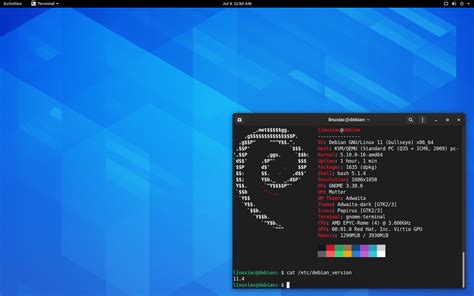 Debian 11