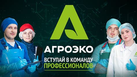 PapersHelp: профессиональная команда экспертов