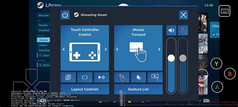 Steam Remote Play