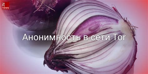 Tor-сеть и луковая маршрутизация