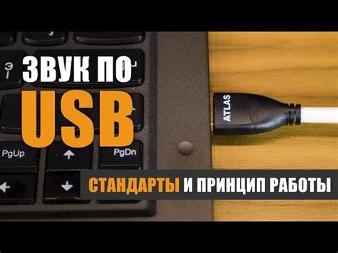 USB-микрофон: принцип работы и особенности