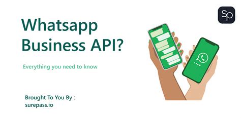 WhatsApp Business API - базовая информация